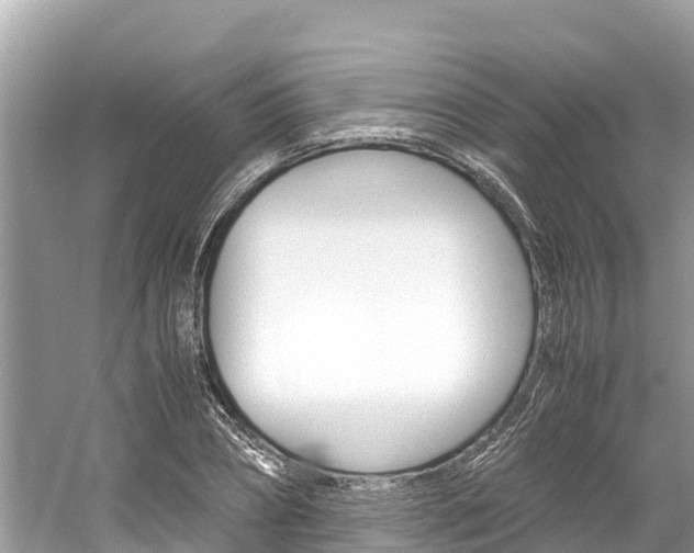 X0000061760882200512021136