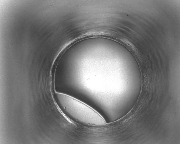 X0000061760894200512021135