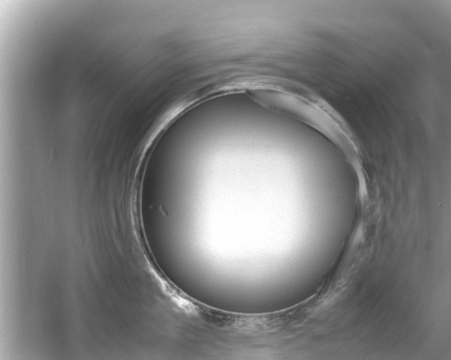 X0000061760909200512021135