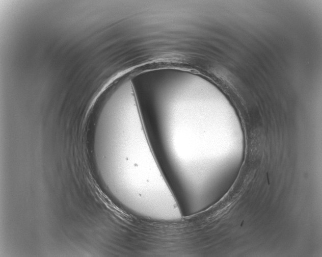X0000061760923200512021134