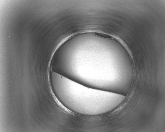 X0000061760957200512021135