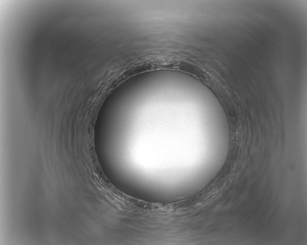 X0000061760961200512021134