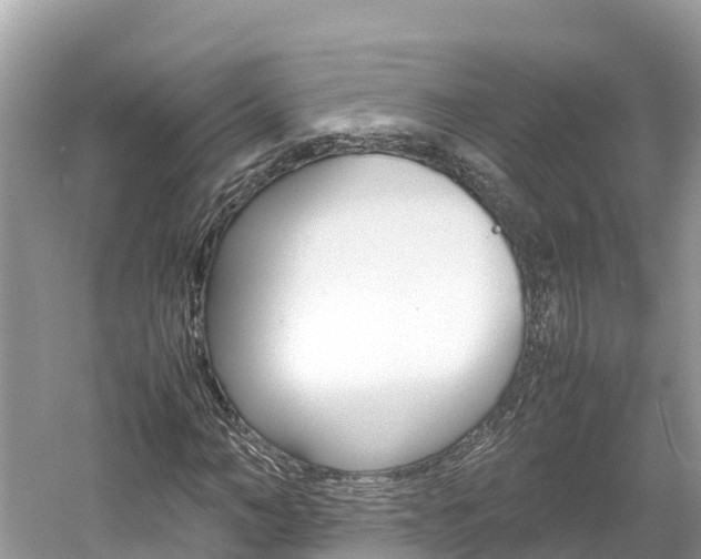 X0000061760966200512021134