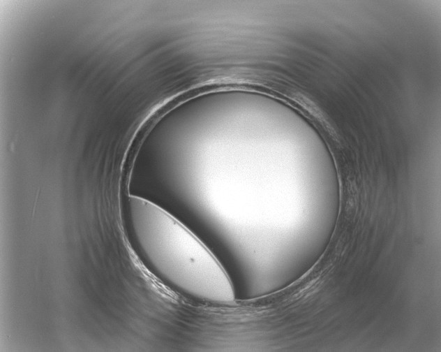 X0000061760980200512021134