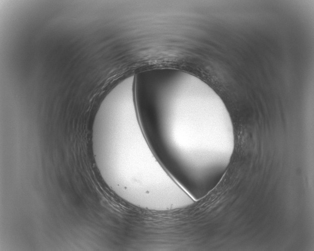 X0000061761012200512021133