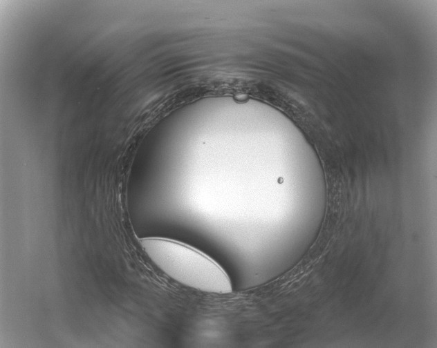 X0000061761013200512021133