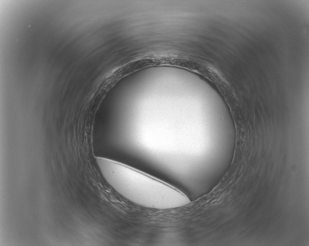 X0000061761016200512021133