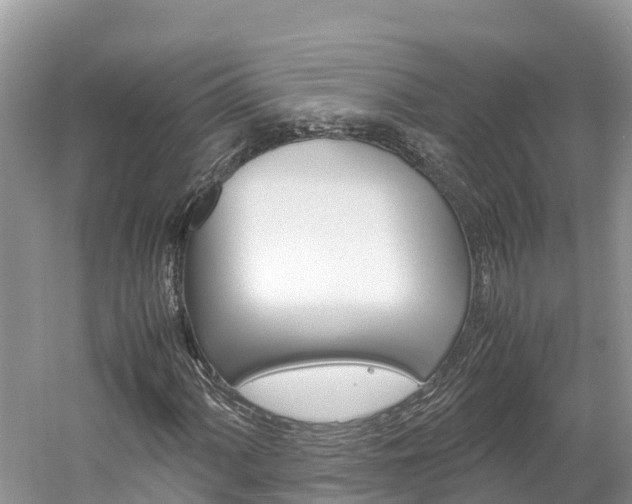 X0000061761060200512021132