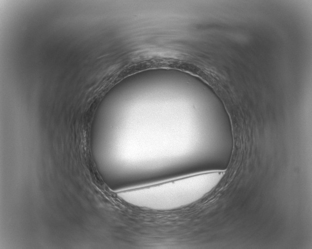 X0000061761061200512021132