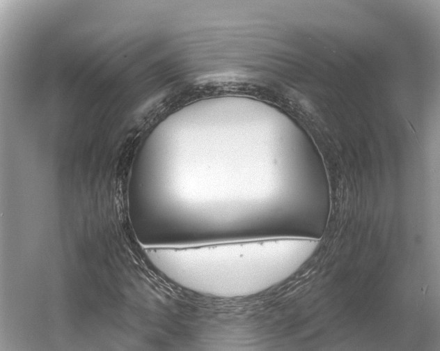 X0000061761062200512021132