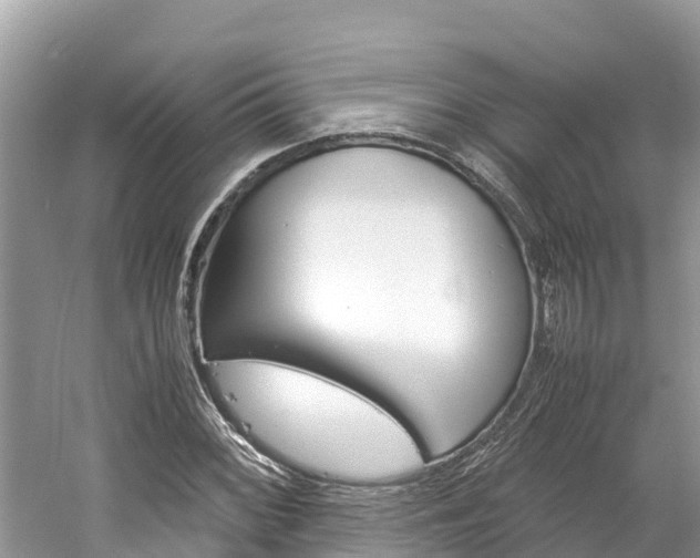 X0000061761068200512021132