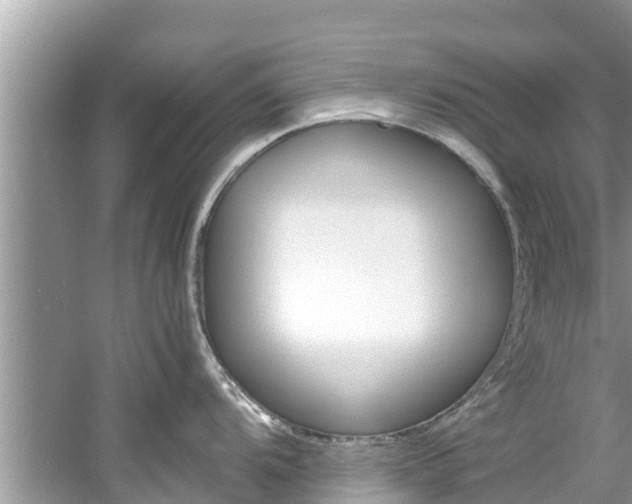 X0000061761104200512021132