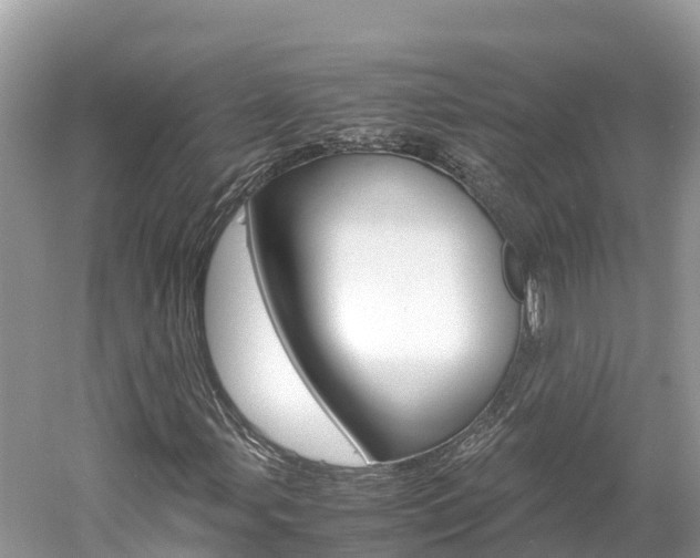 X0000061761107200512021131