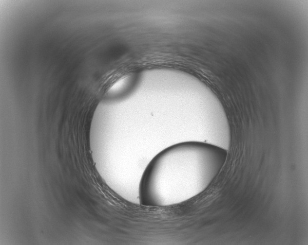 X0000061761155200512021131