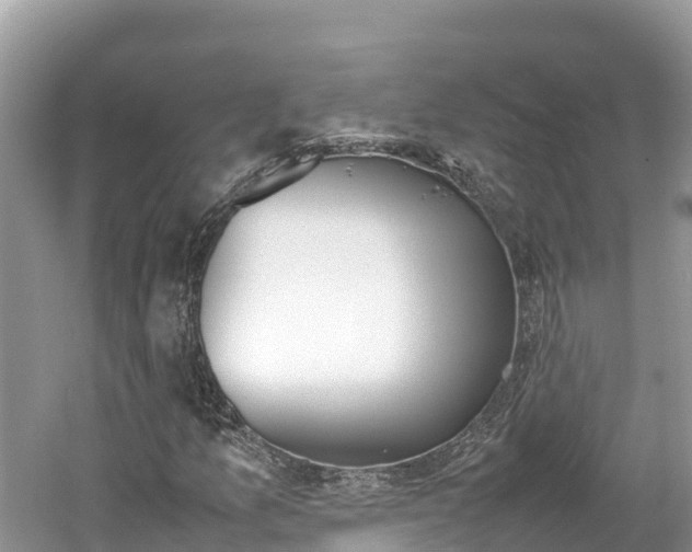 X0000061761157200512021131