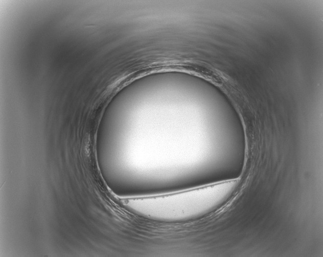 X0000061761161200512021131