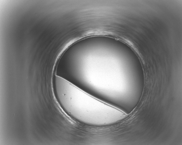 X0000061761187200512021130