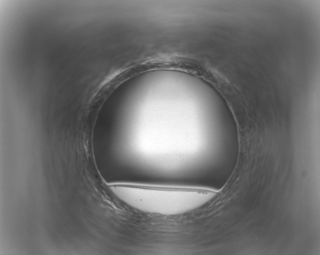 X0000061761206200512021129