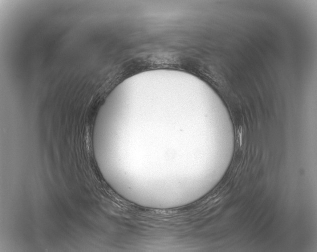 X0000061761251200512021129