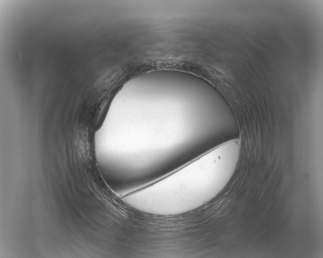 X0000061761252200512021129