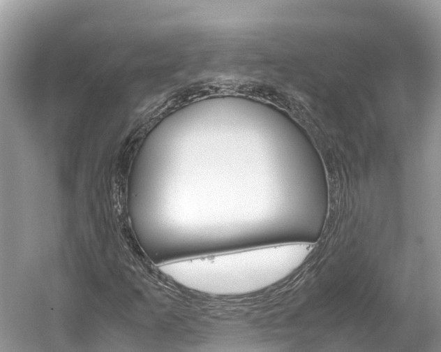 X0000061761253200512021129