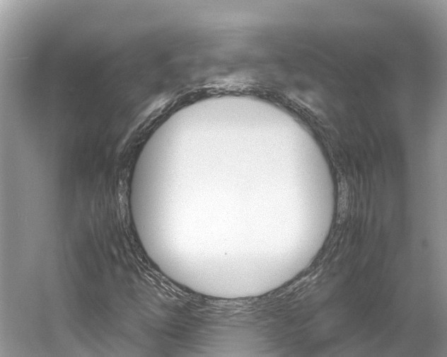 X0000061761254200512021129