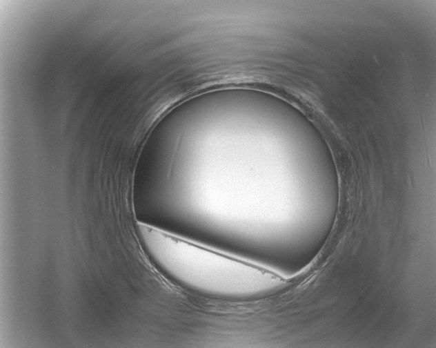 X0000061761273200512021129