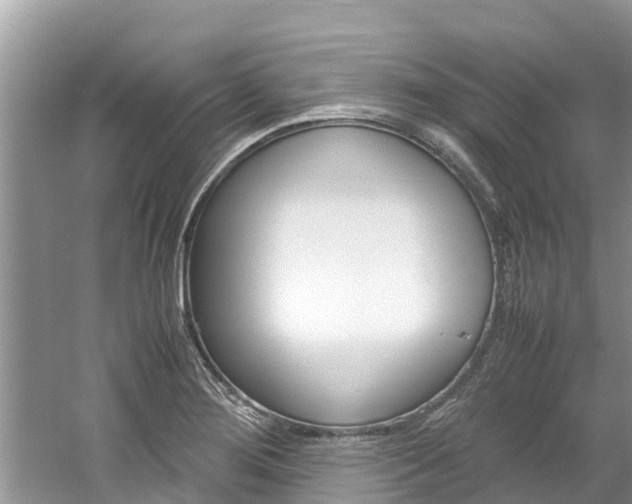 X0000061761276200512021129