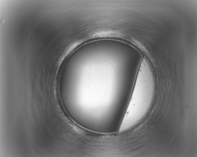 X0000061761277200512021129