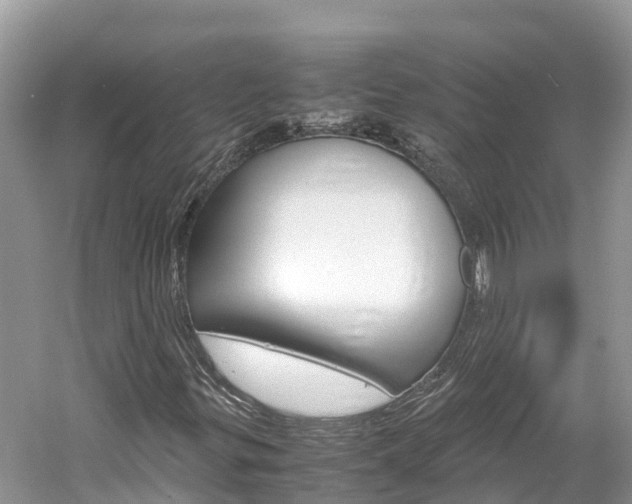 X0000061761299200512021128
