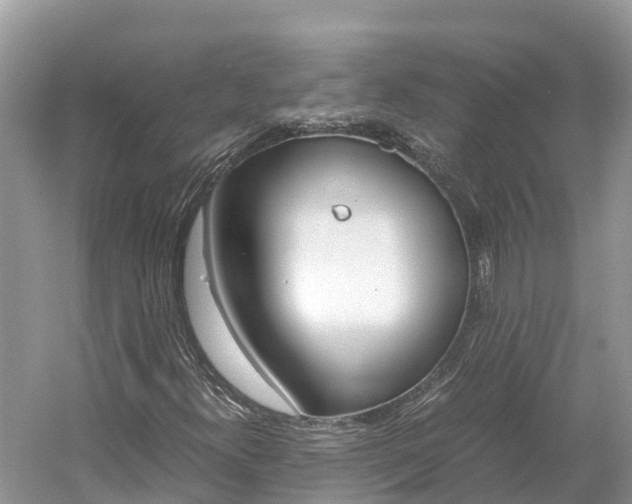 X0000061761300200512021128