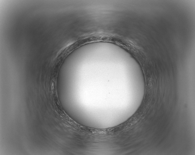 X0000061761302200512021128