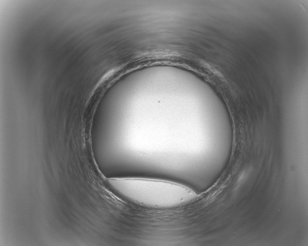 X0000061761306200512021128