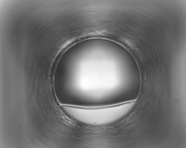 X0000061761308200512021128