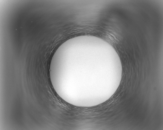X0000061761345200512021128