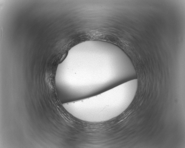 X0000061761346200512021127