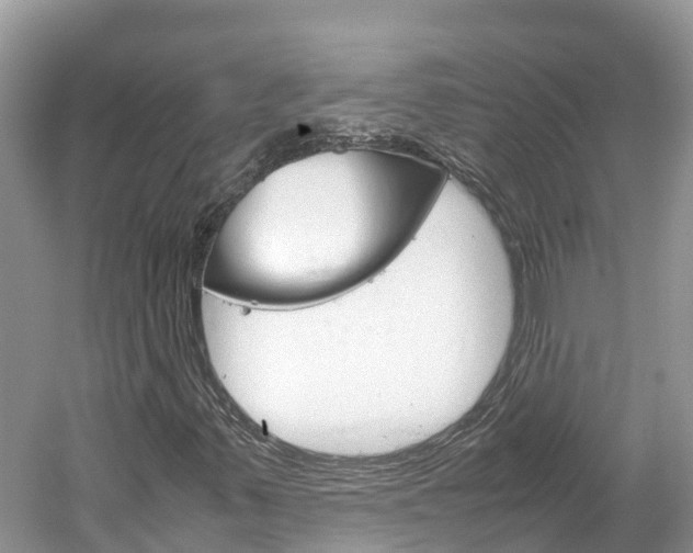 X0000061761347200512021127