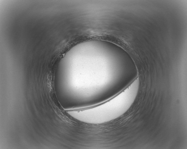 X0000061761348200512021127