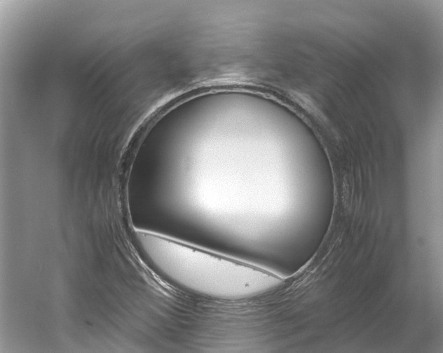 X0000061761356200512021127
