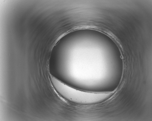 X0000061761385200512021127