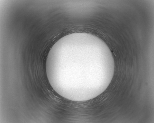X0000061761394200512021126