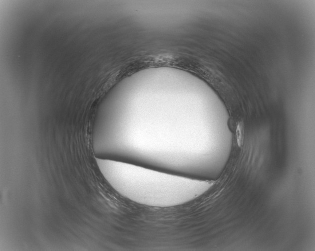 X0000061761395200512021126