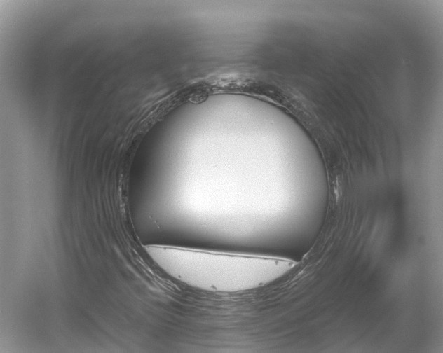 X0000061761396200512021126