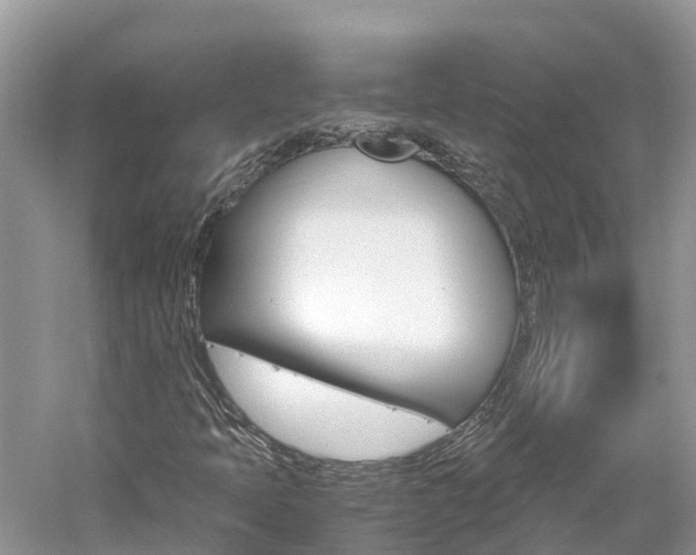 X0000061761397200512021126