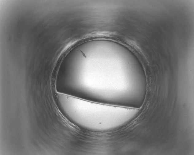 X0000061761404200512021126