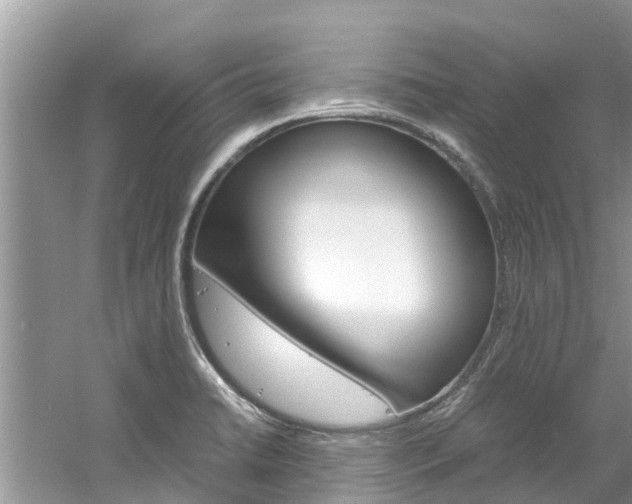 X0000061761422200512021126