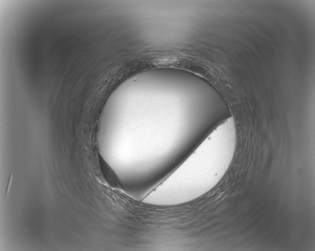 X0000061761441200512021126