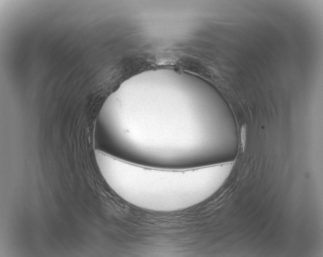 X0000061761443200512021126