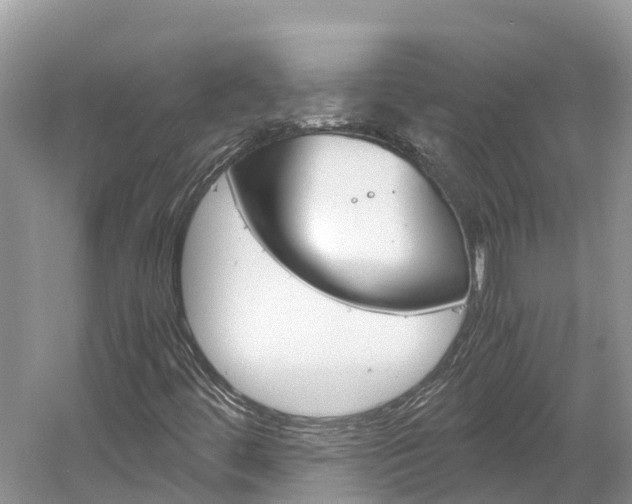 X0000061761444200512021126
