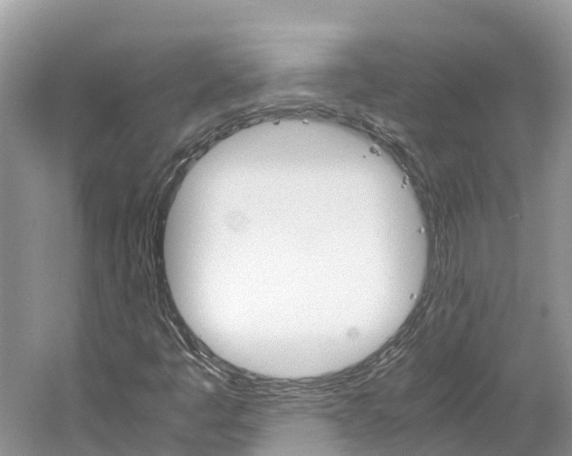 X0000061761445200512021126